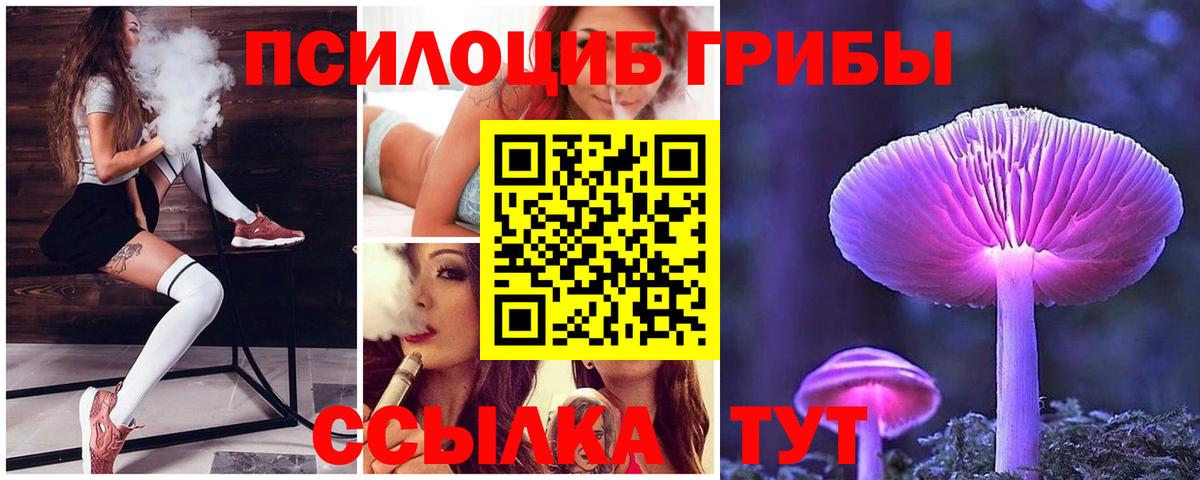 Шадринск  Галлюциногенные грибы мицелий  Вход с VPN  Галлюциногенные грибы Psilocybine cubensis 